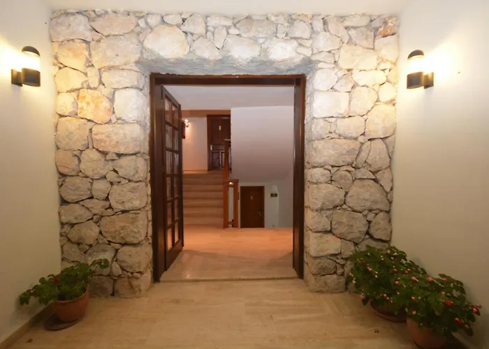 Saray אולודניץ