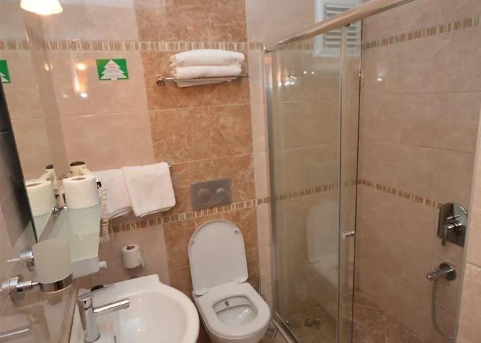 Saray فندق أولدينيس